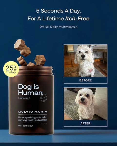 This creative uses a clear before-and-after visual comparison alongside a benefit-focused headline to highlight the efficacy of a dog daily multivitamin.